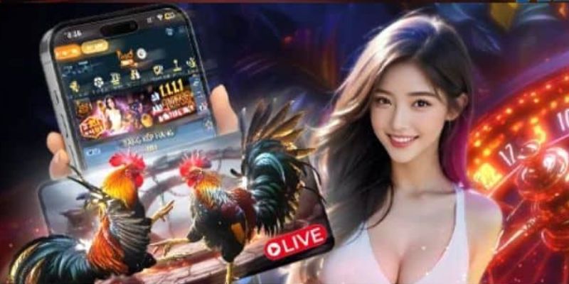 Đá gà GA28 Ae888 2 Tỷ lệ trả thưởng tại đá gà GA28 cao, minh bạch