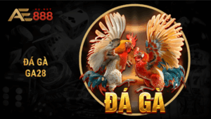 Đá gà GA28